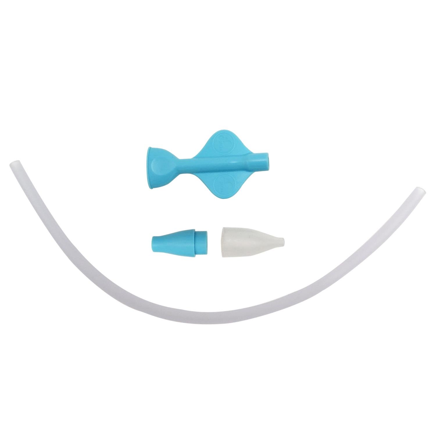 Mouche bébéb BLEU Little Band