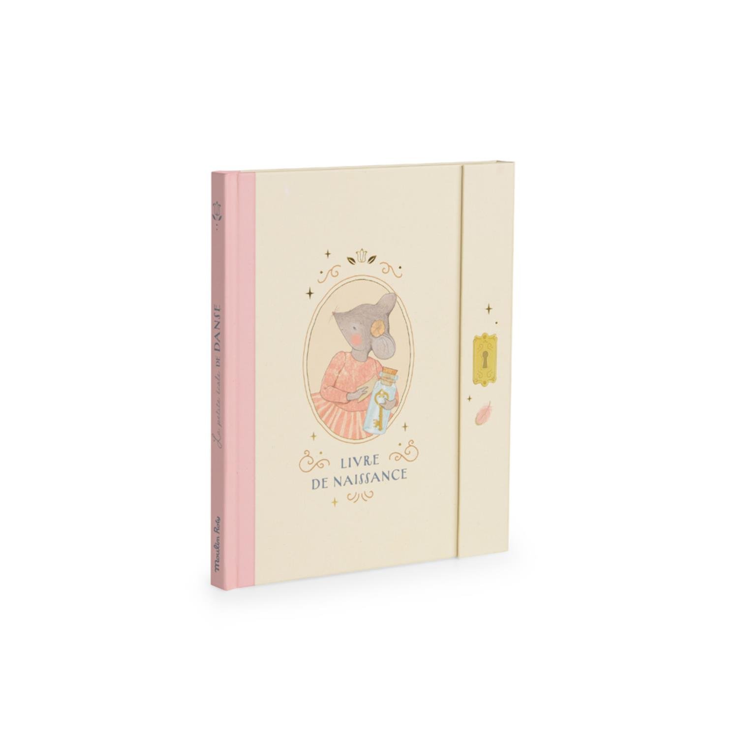 Livre de naissance La petite école de danse MULTICOLORE Moulin Roty