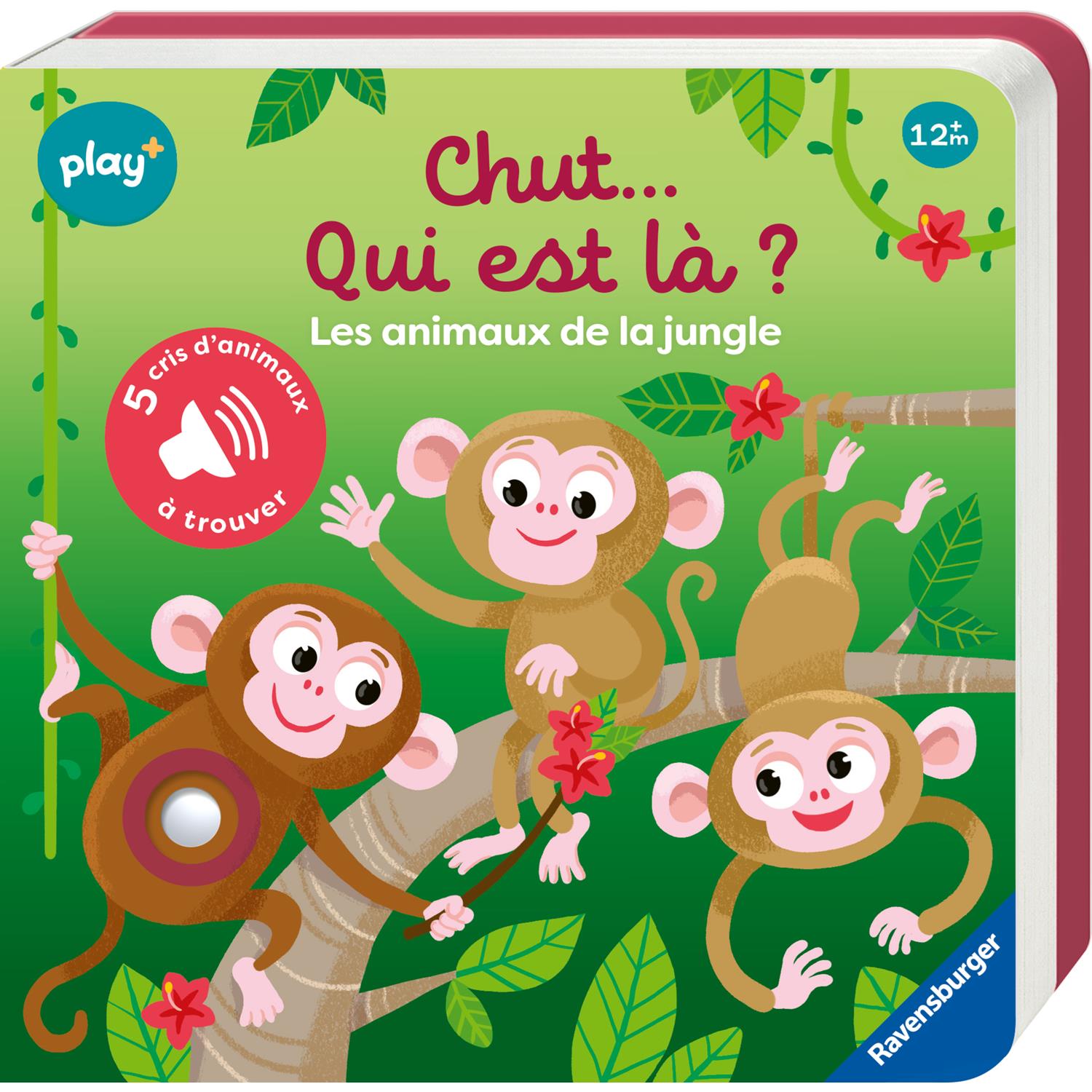 Livre sonore cherche et trouve MULTICOLORE Play+