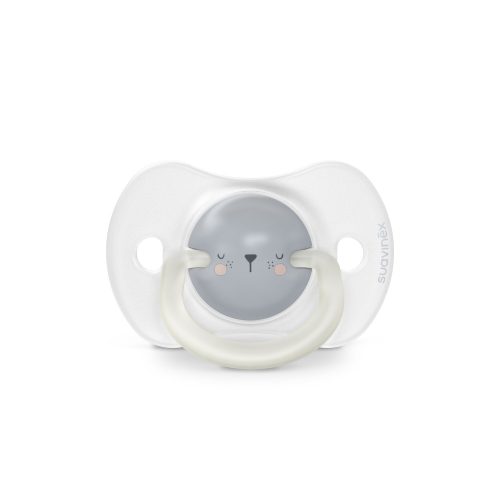 Lot de 2 sucettes phosphorescentes SX Pro 0/6M Night&Day Bear