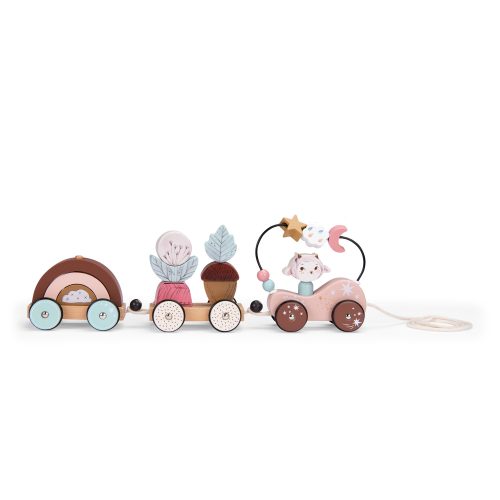 Train d'activités à tirer MULTICOLORE Moulin Roty