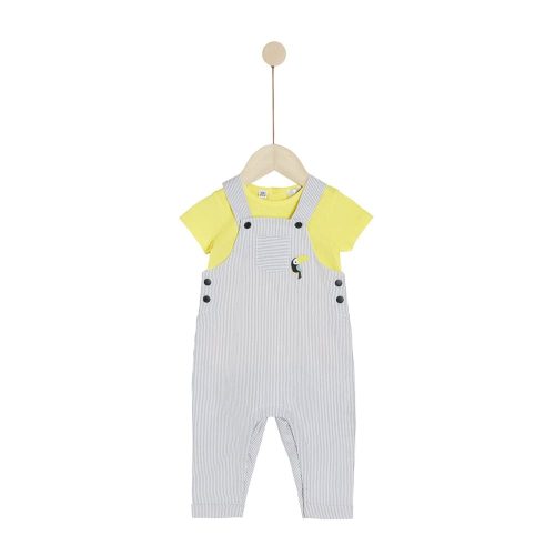 Ensemble salopette avec Tee-shirt Sous le citronnier GRIS Marèse