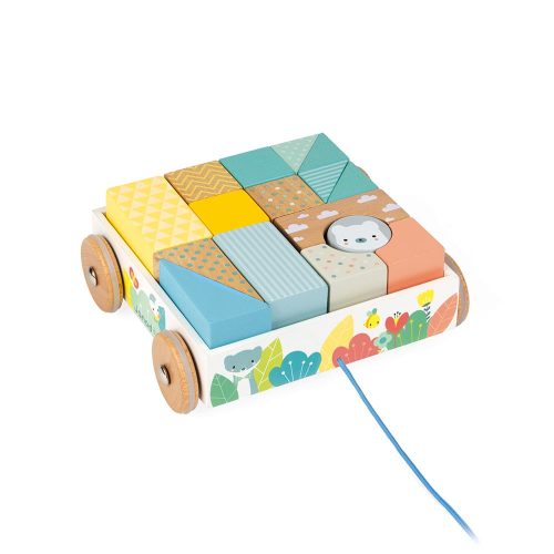 Chariot de cubes à promener Pure MULTICOLORE Janod