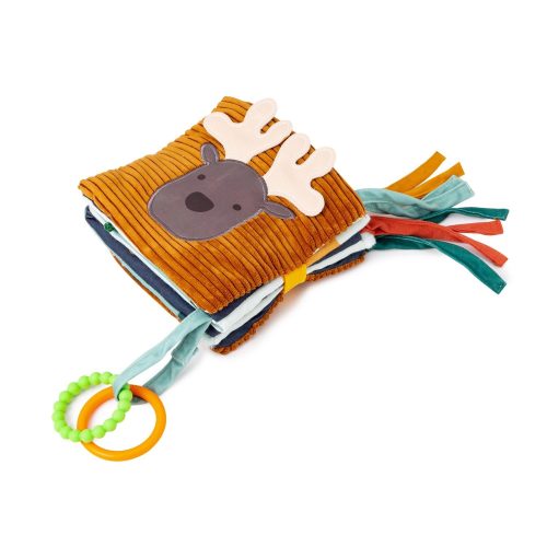 Livre d'éveil 2 en 1 VERT Little big friends