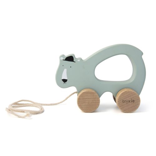 Jouet à tirer en bois MULTICOLORE Trixie