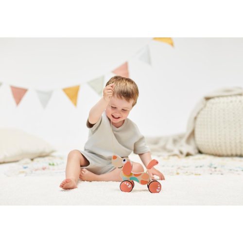 Jouet Chien Puppy Edition limitée MULTICOLORE Hape