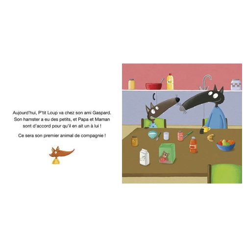 P'TIT LOUP A UN ANIMAL DE COMPAGNIE MULTICOLORE Auzou