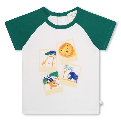 CARREMENT BEAU T-shirt manches courtes GARCON 12M Vert