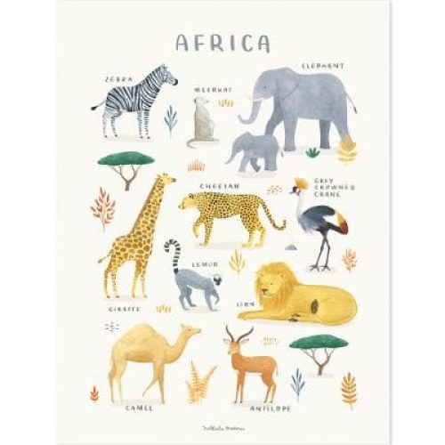 affiche-animaux-d-afrique-30-x-40-cm