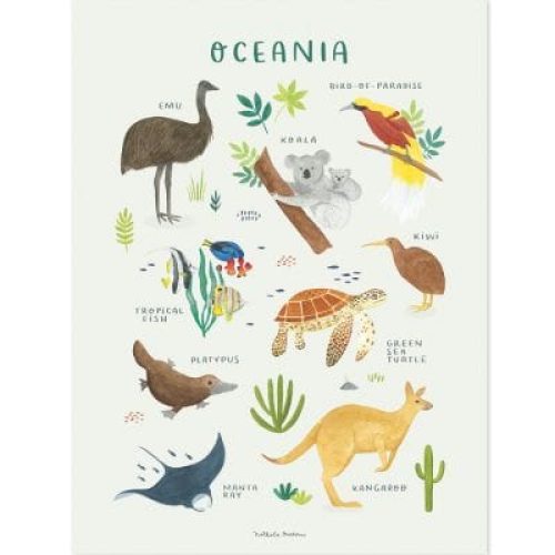 affiche-animaux-d-oceanie-30-x-40-cm