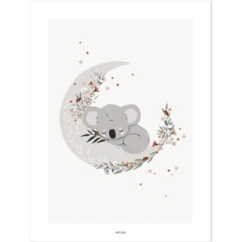 affiche-cute-koala-30-x-40-cm