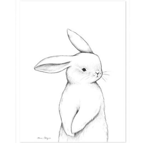 affiche-lapin-de-face-30-x-40-cm