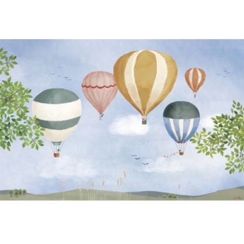 affiche-montgolfiere-60-x-40-cm-2