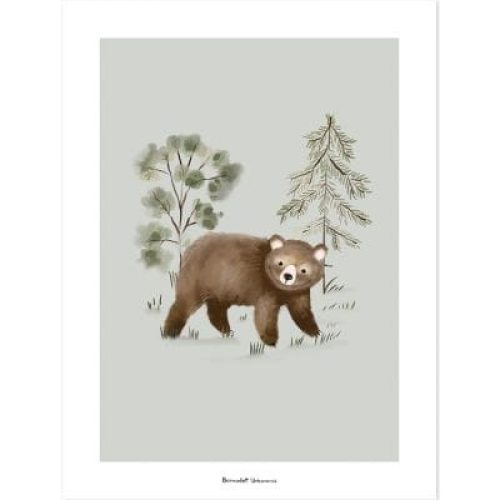 affiche-ours-little-bear-30-x-40-cm