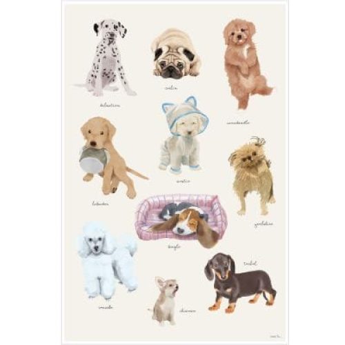 affiche-puppy-60-x-40-cm