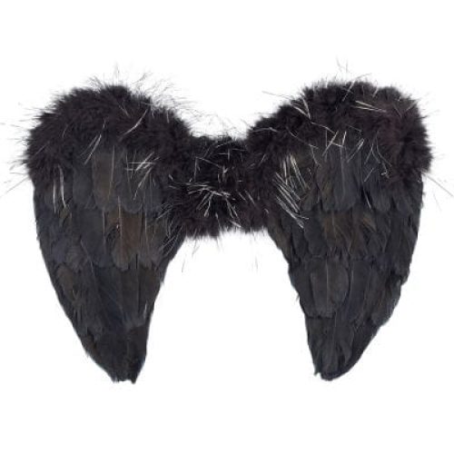 ailes-d-ange-noires-nyx