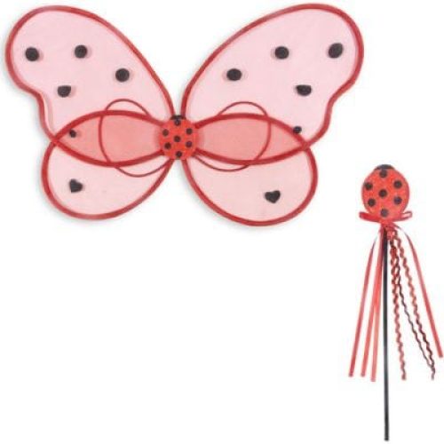 ailes-de-fee-coccinelle