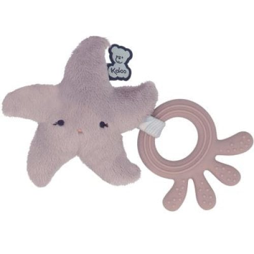 anneau-de-dentition-etoile-de-mer