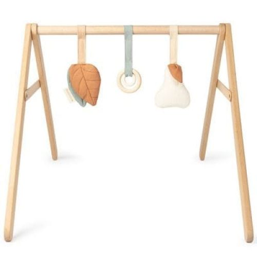 arche-growing-green-forest-reconditionne