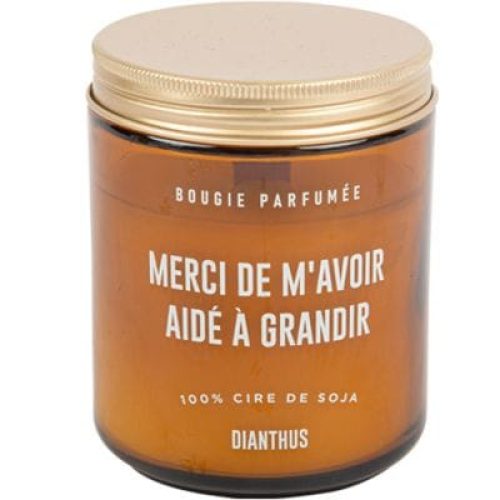 bougie-cire-de-soja-merci-de-m-avoir-aide-a-grandir