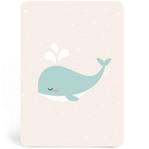carte-a6-baleine