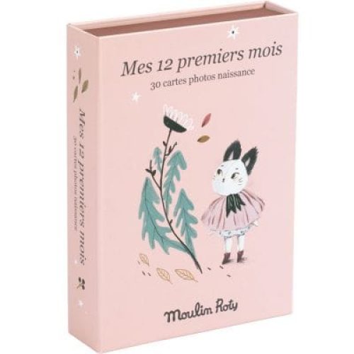 cartes-etapes-mes-12-premiers-mois-apres-la-pluie-30-cartes