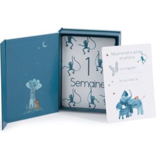 cartes-mes-12-premiers-mois-sous-mon-baobab-3