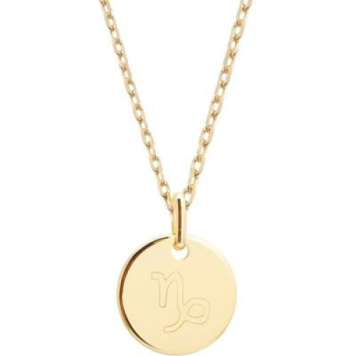 collier-chaine-medaille-capricorne-personnalisable-plaque-or