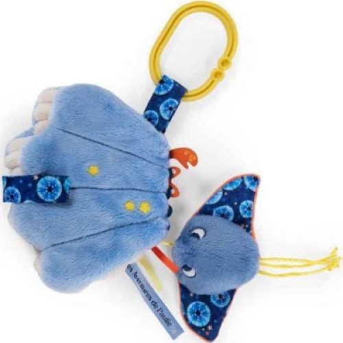 coquillage-d-activites-les-aventures-de-paulie