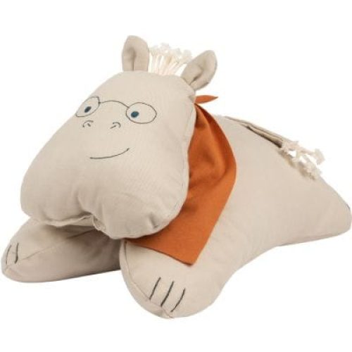 coussin-professeur-hippolyte-30-x-19-cm