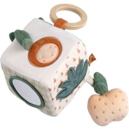 cube-d-activites-botanica