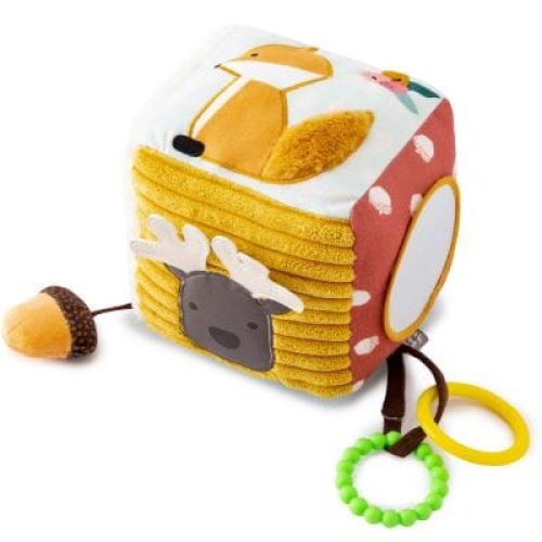 cube-d-activites-foret