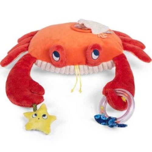 grand-crabe-d-activites-les-aventures-de-paulie