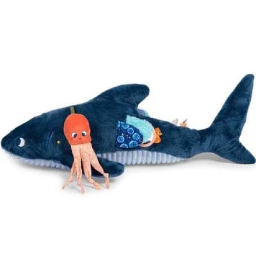 grand-requin-d-activites-les-aventures-de-paulie