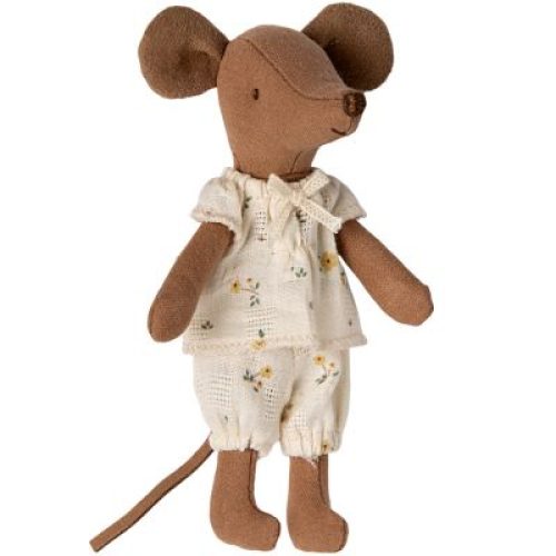 grande-soeur-souris-dans-sa-boite-assortie-2