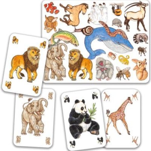 jeu-d-observation-et-de-rapidite-zanimatch-2