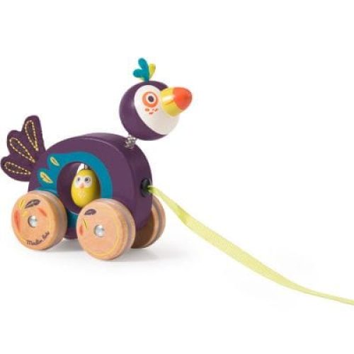 jouet-a-tirer-pakou-le-toucan-dans-la-jungle