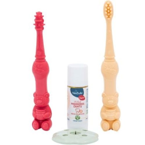 kit-educatif-poussee-dentaire