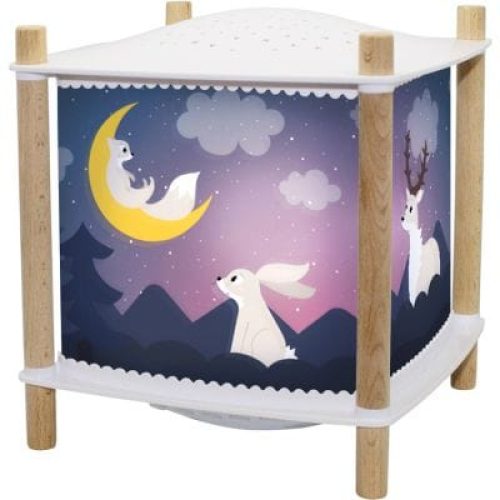 lanterne-magique-musicale-revolution-2-0-foret