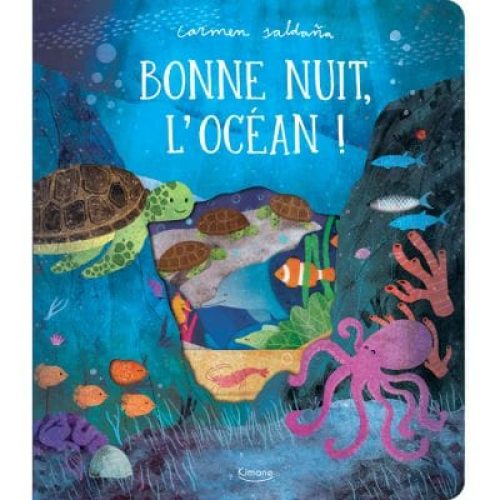 livre-bonne-nuit-l-ocean