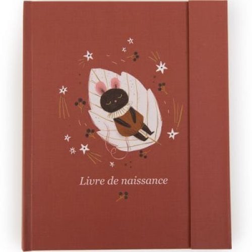 livre-de-naissance-apres-la-pluie