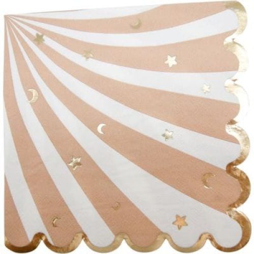 lot-de-16-serviettes-baby-nude