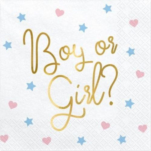 lot-de-20-serviettes-boy-or-girl-33-x-33-cm