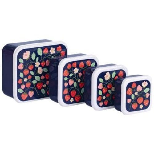 lot-de-4-boites-a-gouter-fraises