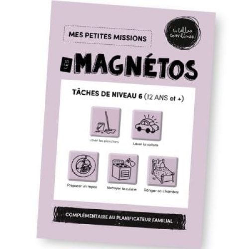 magnets-taches-de-niveau-6-des-12-ans-les-magnetos