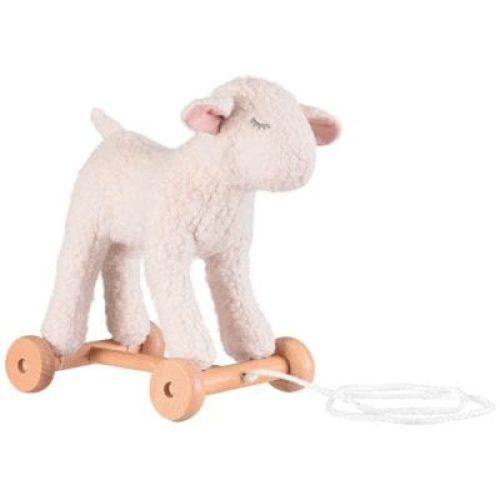 mary-le-mouton-a-tirer