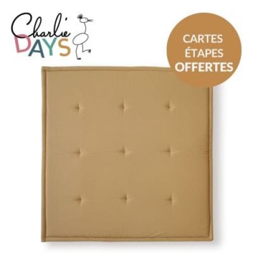 pack-tapis-de-jeu-tami-camel-cartes-etapes-ma-premiere-annee
