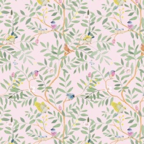 papier-peint-intisse-roseraie-rose-2