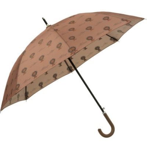 parapluie-lion