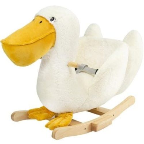 pelican-a-bascule-au-large-de-nova